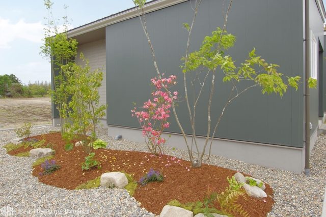 30坪トレンドの平屋！おしゃれな植栽×中庭のある暮らし