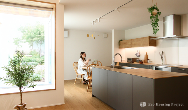 27坪 塗り壁の平屋 心地よさを極めた洗練デザインの住まい